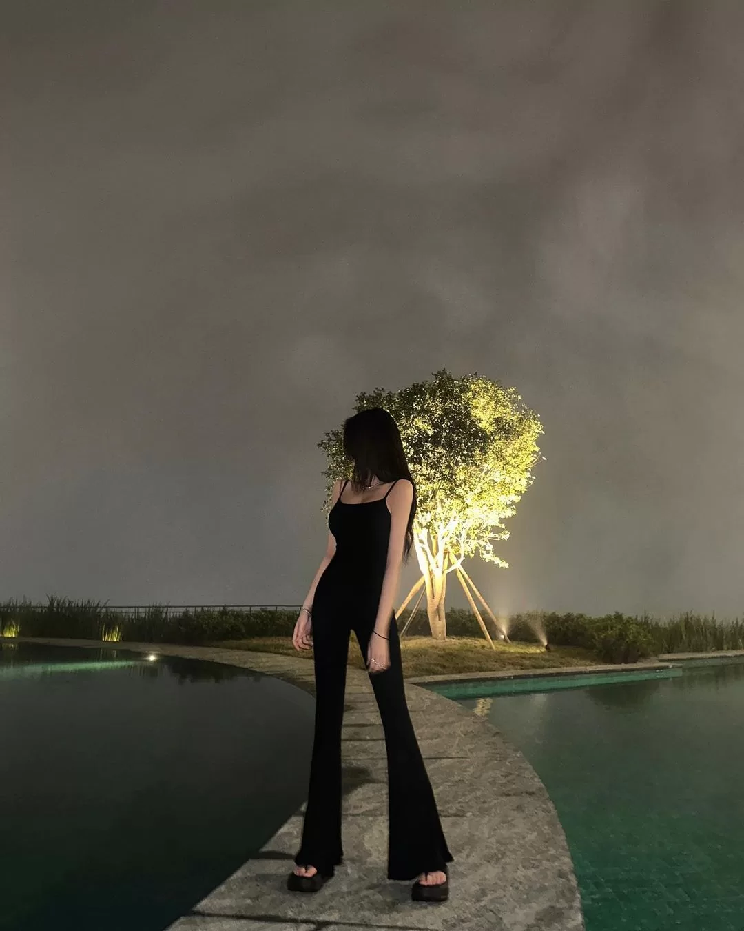 小圈SP为何能让人乐此不疲-笨蛋水母