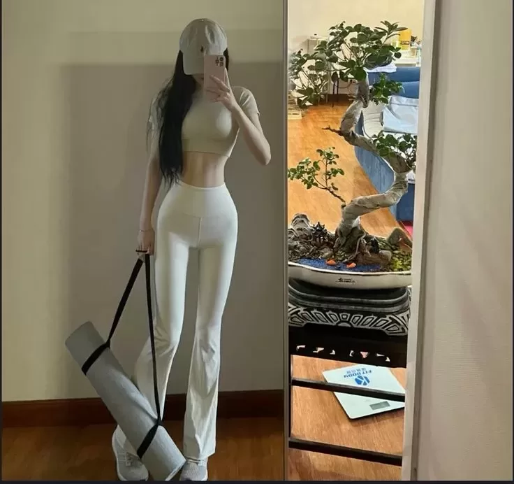 寻找希望与力量的出口-笨蛋水母