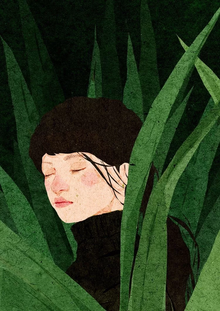 辽阳字母圈远距离-笨蛋水母