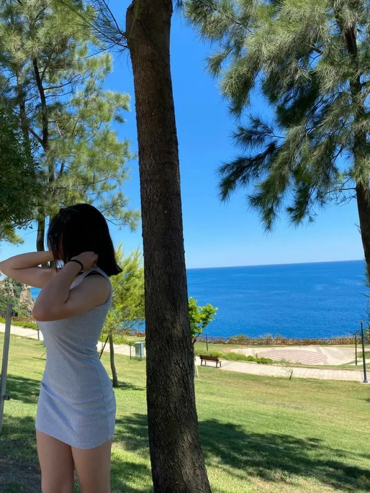 【字母科普】圈内dom男的性格倾向与人格特征-笨蛋水母