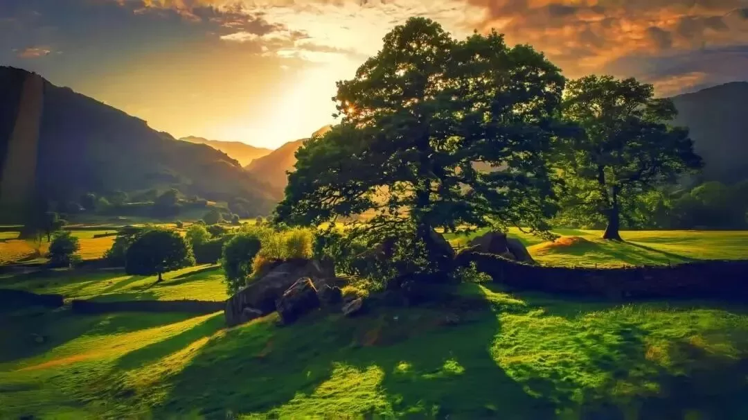 钢尺与pp触碰，十年时光隐隐作痛