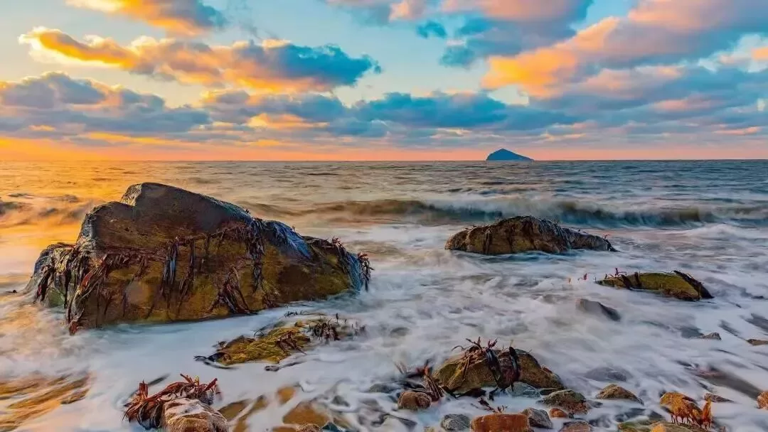 一生喜欢被zou的文学大师卢梭