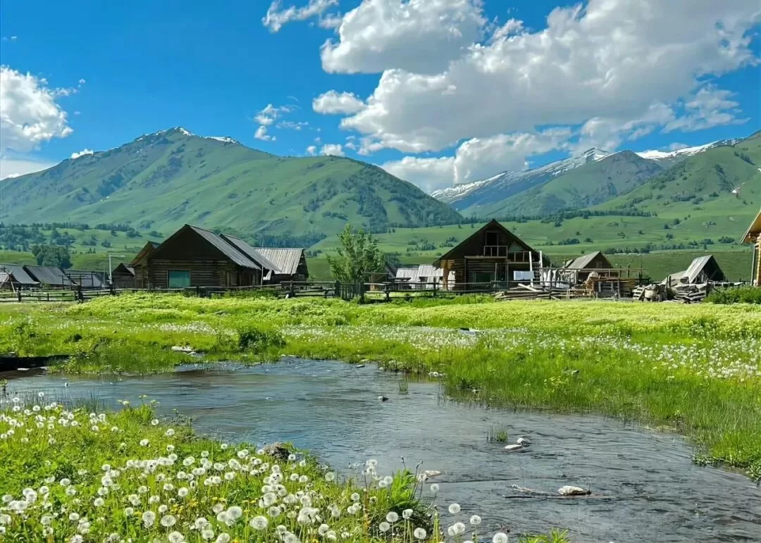 那个为了男友主动差点自杀的女生