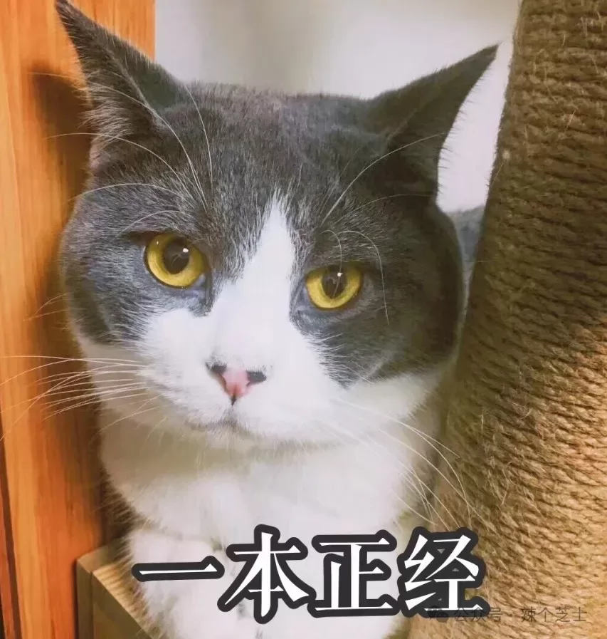 SP入门科普 | 小圈集合SP进阶Number two