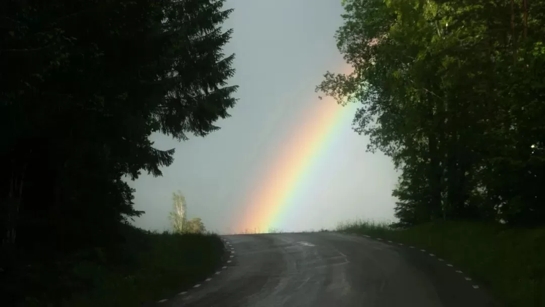 终于知道为什么对圈子着迷、上瘾