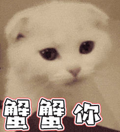 SP入门科普 | 小圈集合SP进阶Number two