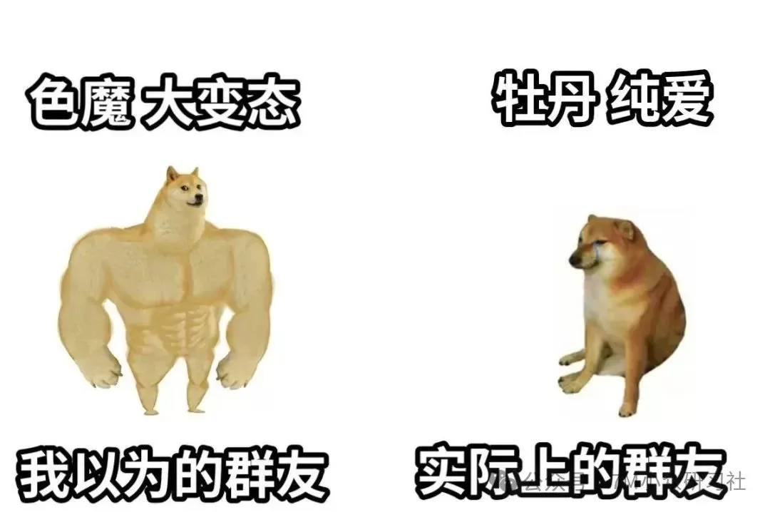 网调过程中/双方能否成为恋人