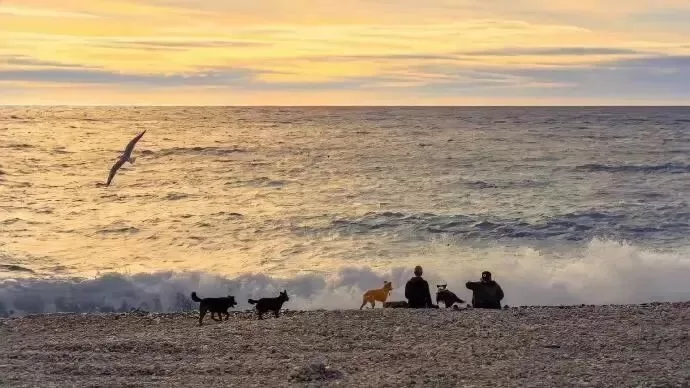 就这? 刚学会? 没吃饭? 你真娇弱 就这? 刚学会? 没吃饭? 你真娇弱
