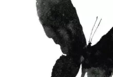 网调游戏的注意事项-笨蛋水母