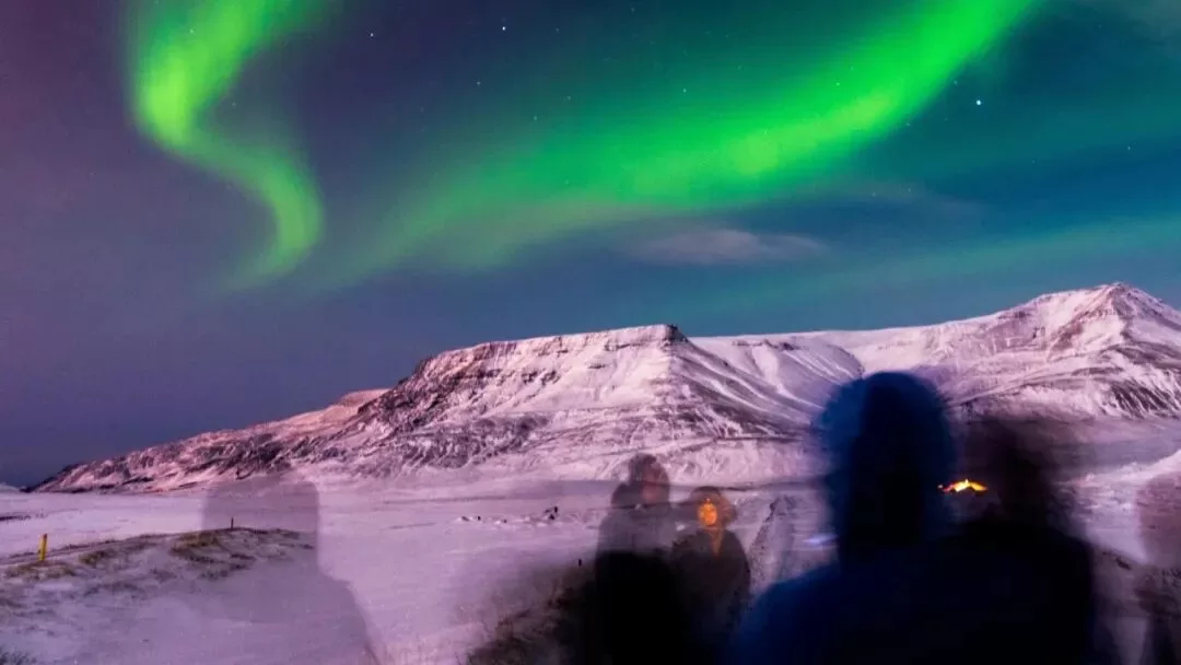 主动命令被动惩罚自己是种什么体验