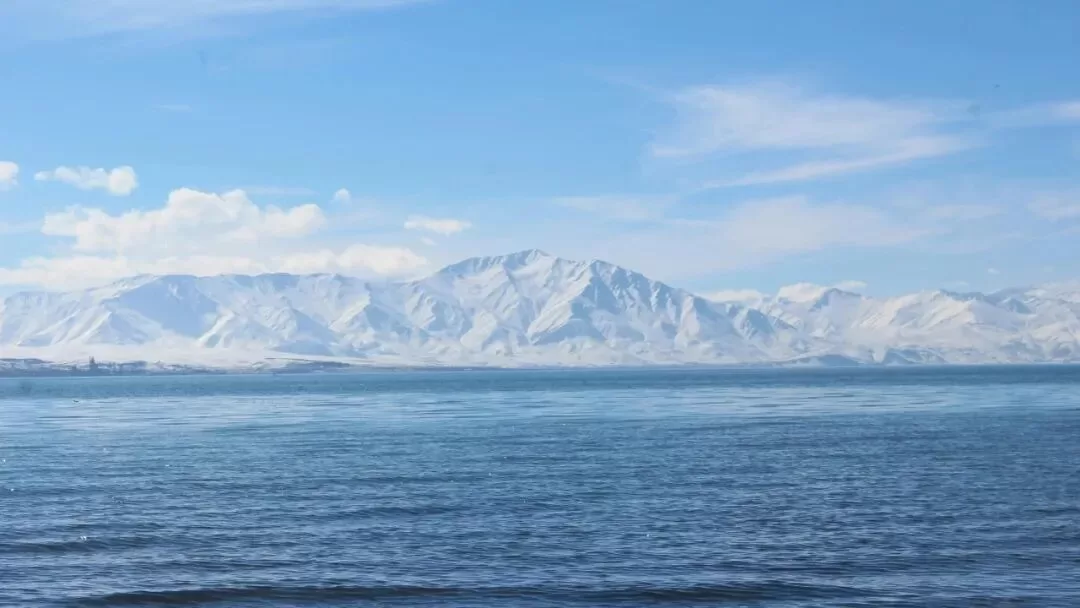 主动命令被动惩罚自己是种什么体验