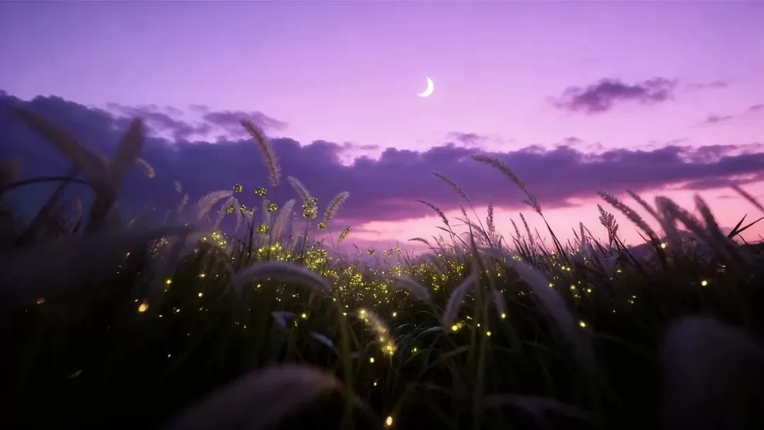 上班和学习的任务都没网调的任务多