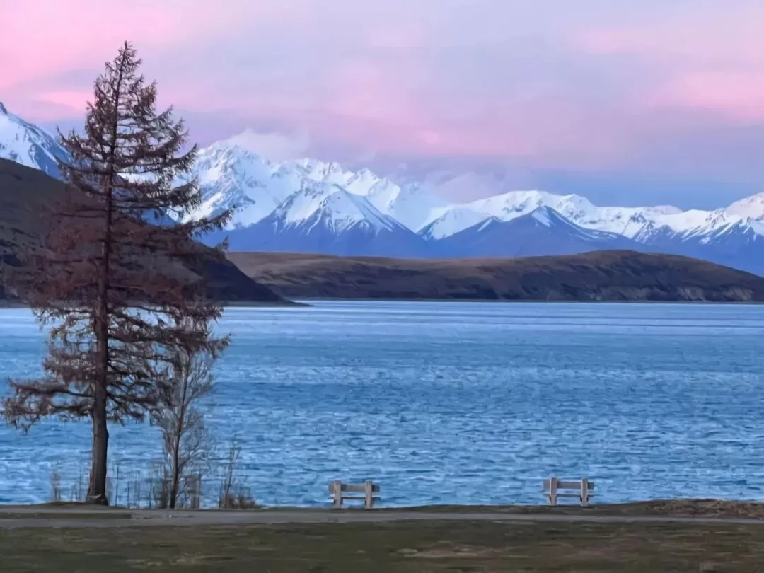 那个为了男友主动差点自杀的女生