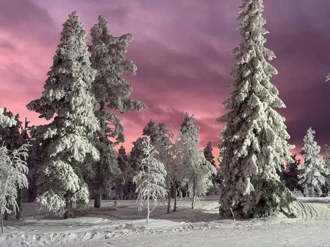 字母圈同好一些恨不得钻进地缝的瞬间