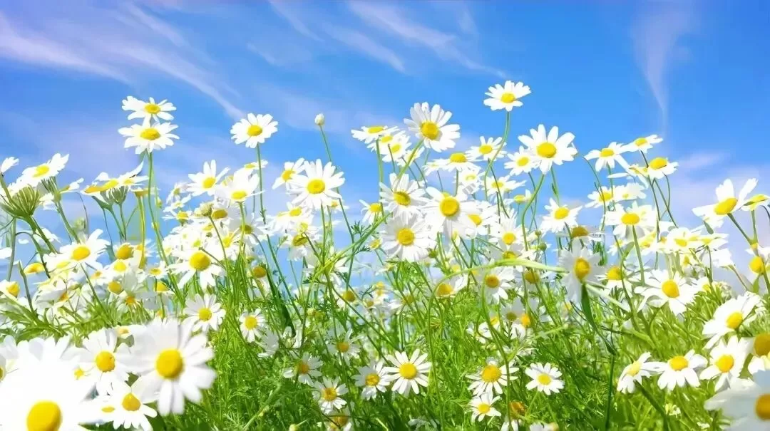 钢尺与pp触碰，十年时光隐隐作痛