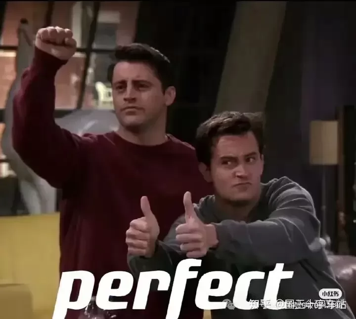 关于网调(上)-笨蛋水母