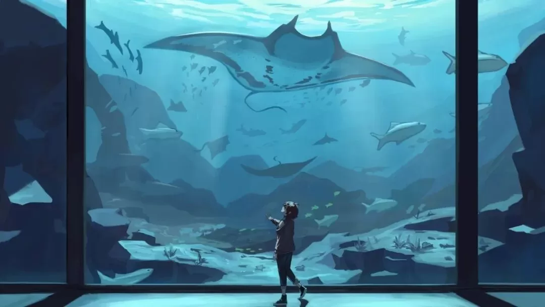 为什么当主感觉是个工具人，快乐的是贝