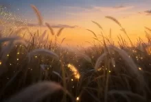 上班和学习的任务都没网调的任务多-笨蛋水母