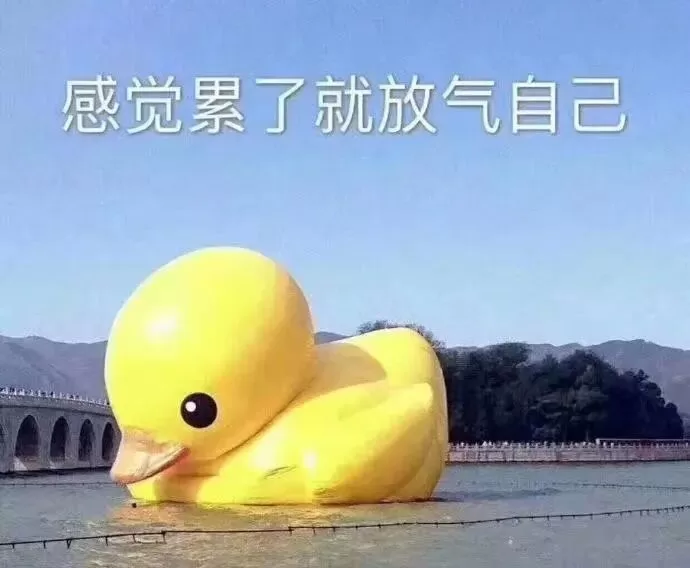 Spank实践事后处理方法-笨蛋水母