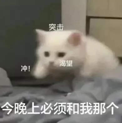 字母圈科普篇：如何进行网调（三)