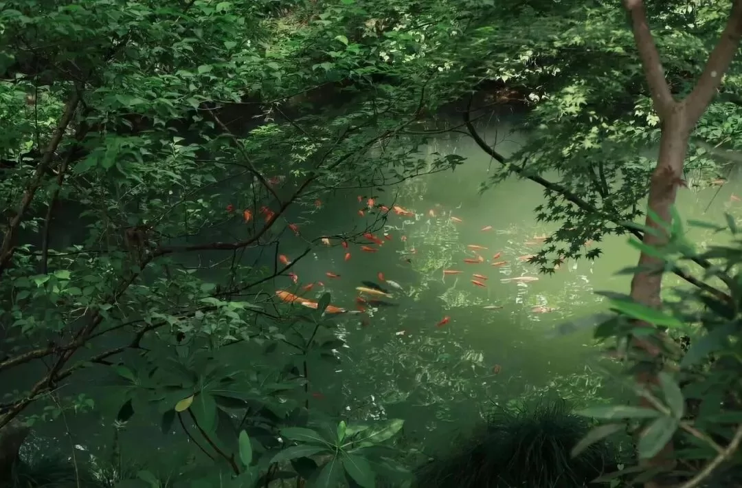 角色扮演如何让实践更有趣味性