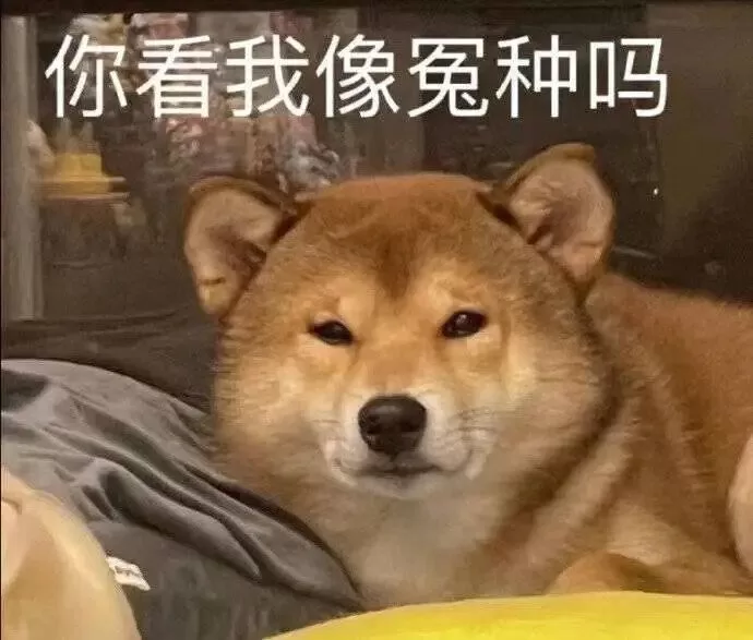 网调与现实的“爱恨情仇”及应对处理