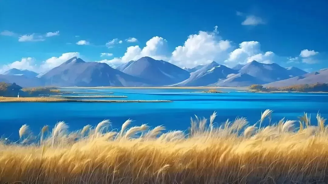 一生喜欢被zou的文学大师卢梭