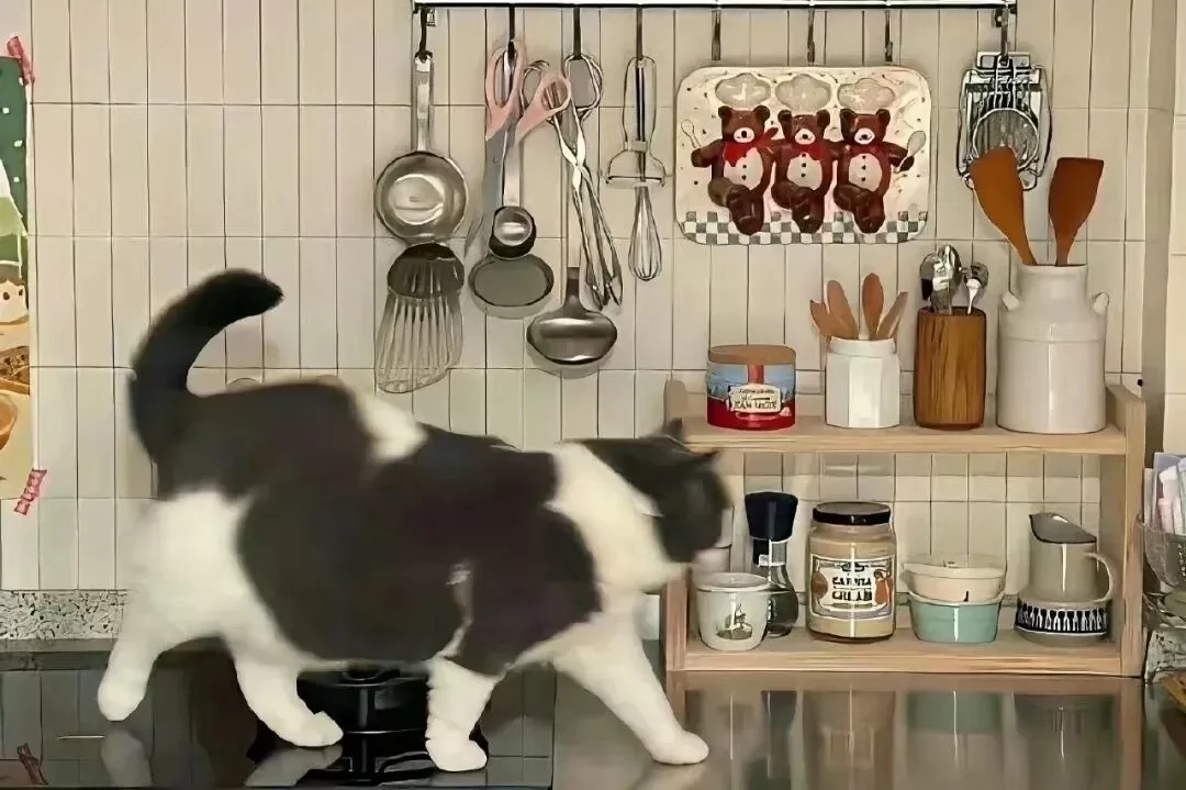 想和谁实践就和谁实践,永远那种 想和谁实践就和谁实践,永远那种