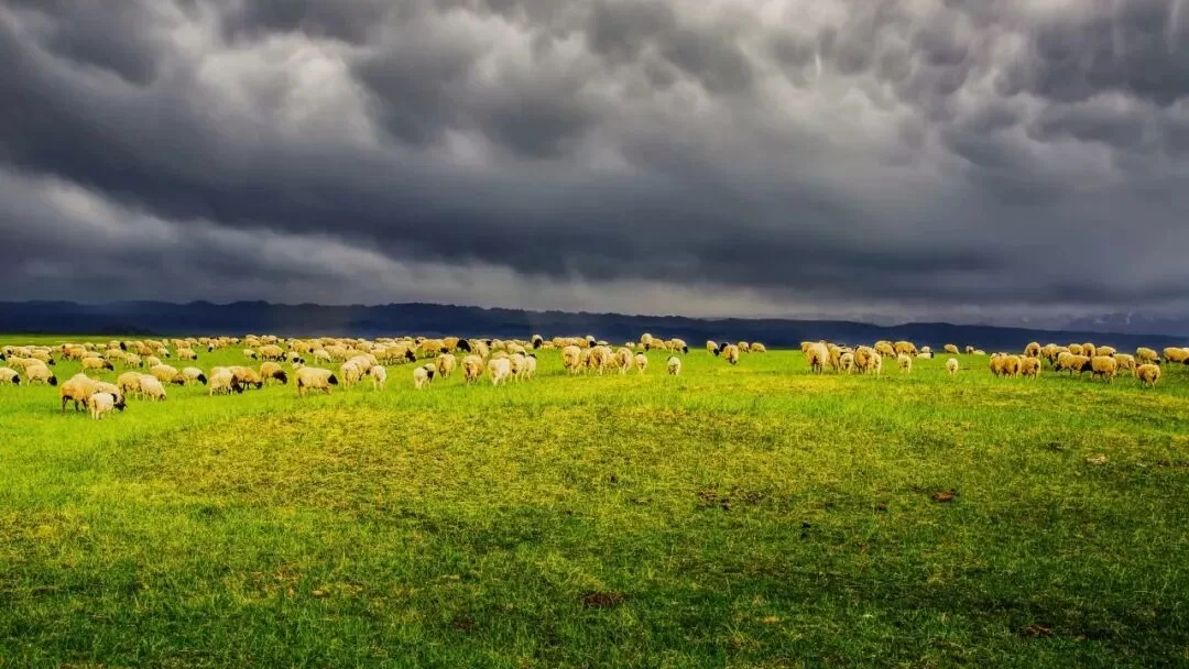 实践中明明忍不住,却又不想喊安全词 实践中明明忍不住,却又不想喊安全词