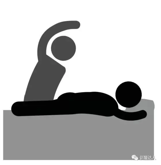 SP系列SPANK实践的姿势选哪种？