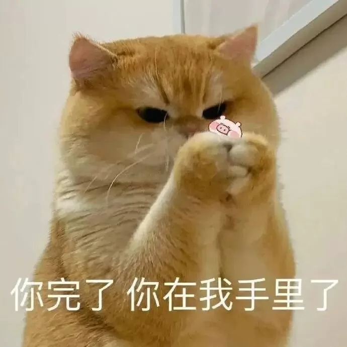 S 给 M 的网调任务表“私人订制”方法 S 给 M 的网调任务表“私人订制”方法