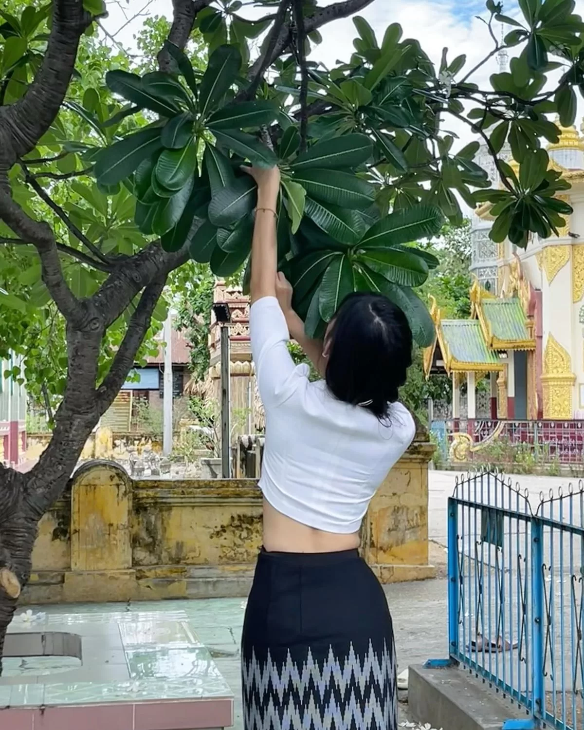 关系升级往往从倾听开始-笨蛋水母