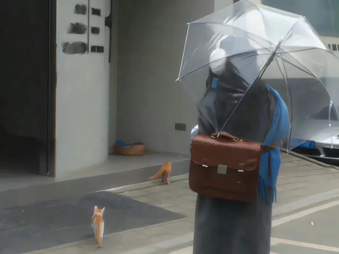 小圈秘籍成为天下第一男主/女主