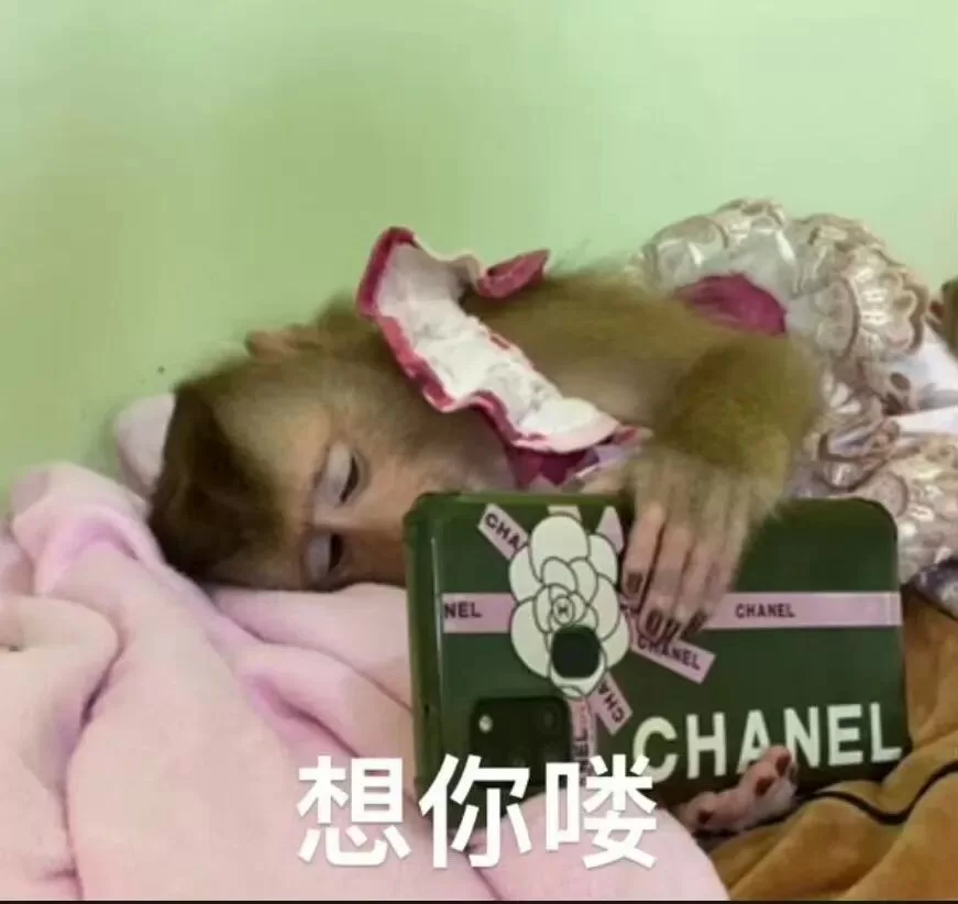 sp小圈一种脱离BDSM杏爱的惩罚小圈