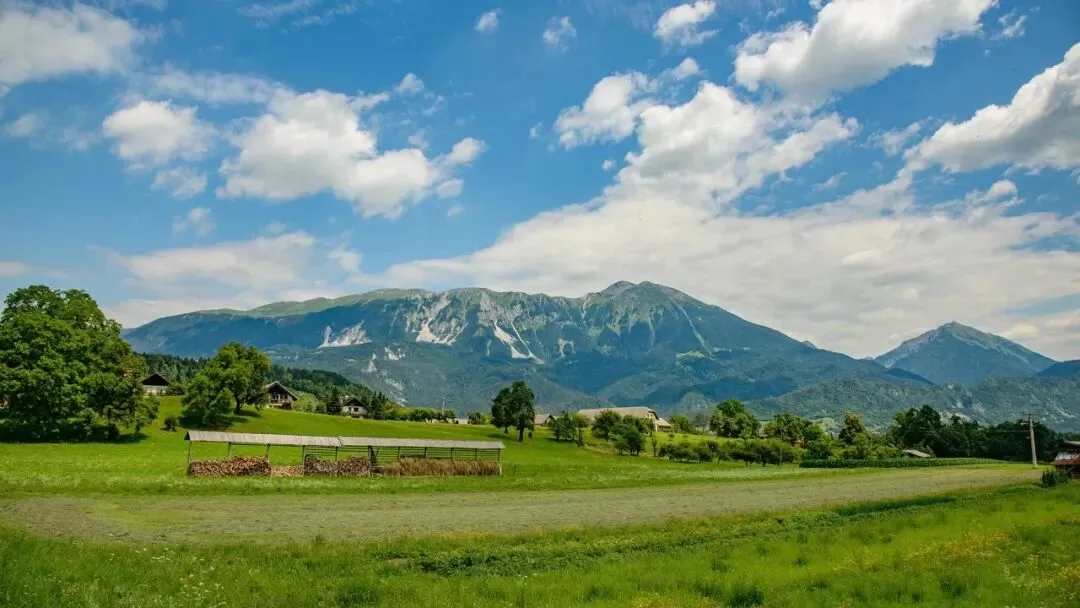实践中明明忍不住,却又不想喊安全词 实践中明明忍不住,却又不想喊安全词