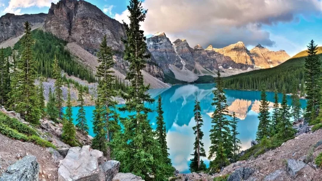 被动靠主动管教训诫能考上清华吗