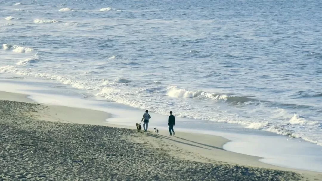 那个为了男友主动差点自杀的女生