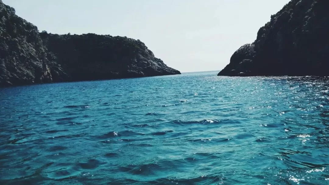 被动靠主动管教训诫能考上清华吗