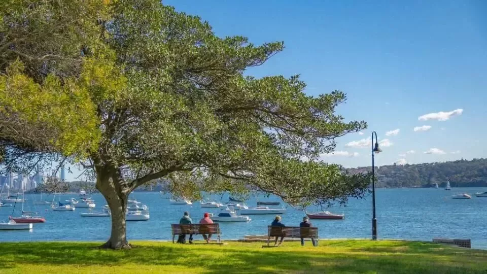 异地主被｜我想穿过对话框，去抱抱你