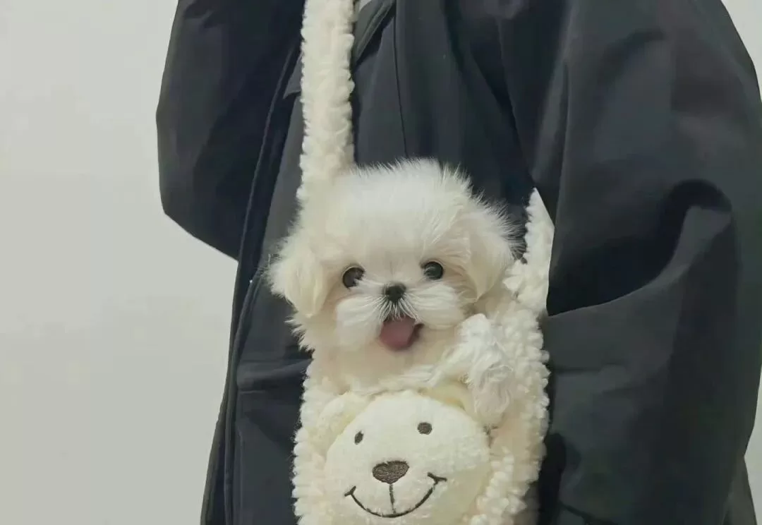 意外发现中学同学居然也是圈里人