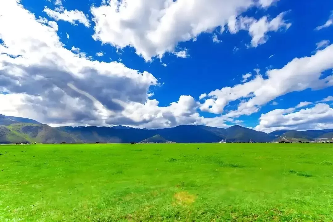 一生喜欢被zou的文学大师卢梭