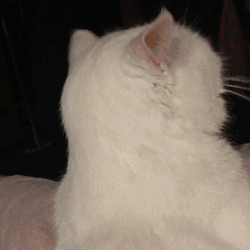 字母圈科普钟情打屁屁的“小圈”文化