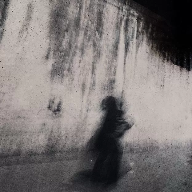 sp玩家是怎么打pp的？-笨蛋水母