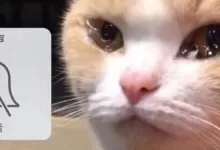 很多Dom后期冷淡,其实是这个原因-笨蛋水母