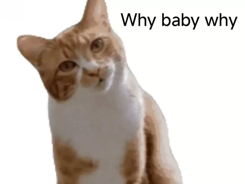 很多Dom后期冷淡,其实是这个原因 很多Dom后期冷淡,其实是这个原因