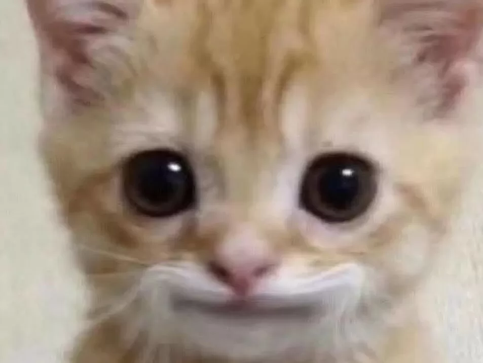 很多Dom后期冷淡,其实是这个原因 很多Dom后期冷淡,其实是这个原因