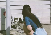 高级套装-笨蛋水母